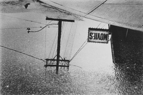 Et skilt med teksen "movies" spejler sig i en vandpyt