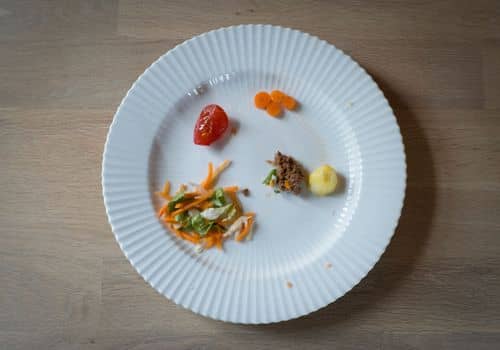 Tallerken med meget lidt mad.