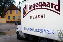 Lastbil fra Øllingegaard økologiske mejeri i Skævinge.
