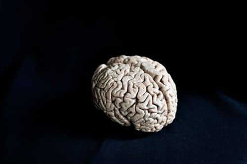 Billede af hjerne på sort baggrund