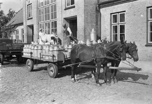 Hestevogn med mælkejunger på ladet