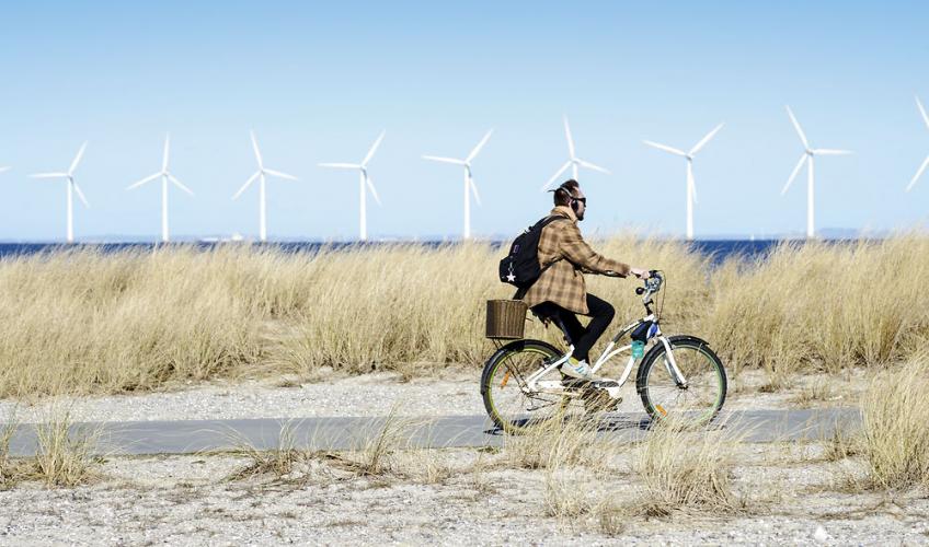 Ung mand på cykel i Amager Strandpark - med vindmøller i baggrunden.
